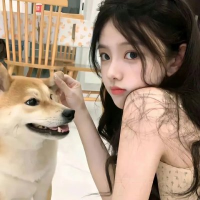 绘图师的合约